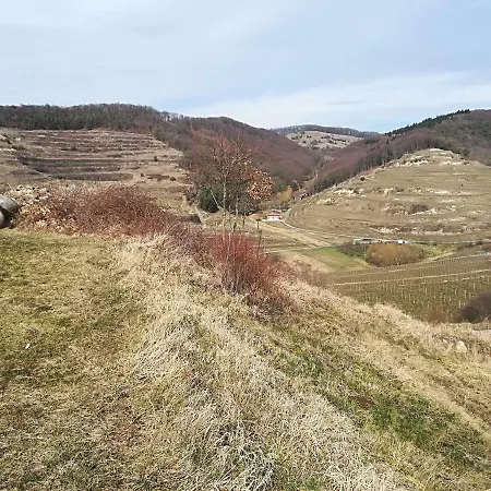 Tatil Evi Nostalgie *