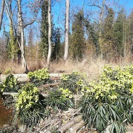 Tatil Evi Nostalgie Vogtsburg
