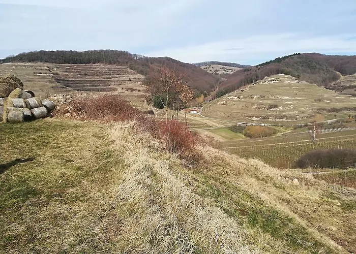 Hébergement de vacances Nostalgie *