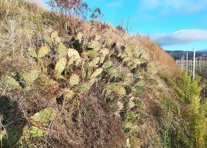 Hébergement de vacances Nostalgie
